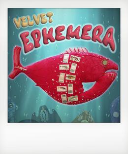 'Velvet Ephemera' By Diana Reynolds